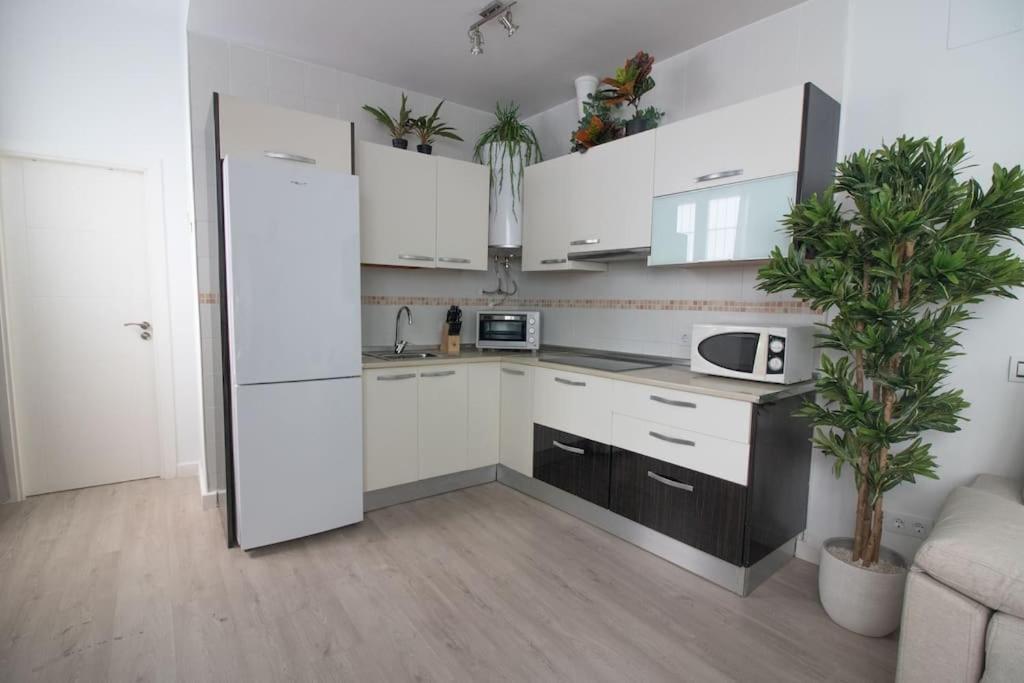 Trinidad Aparment Apartment Malaga Exterior photo